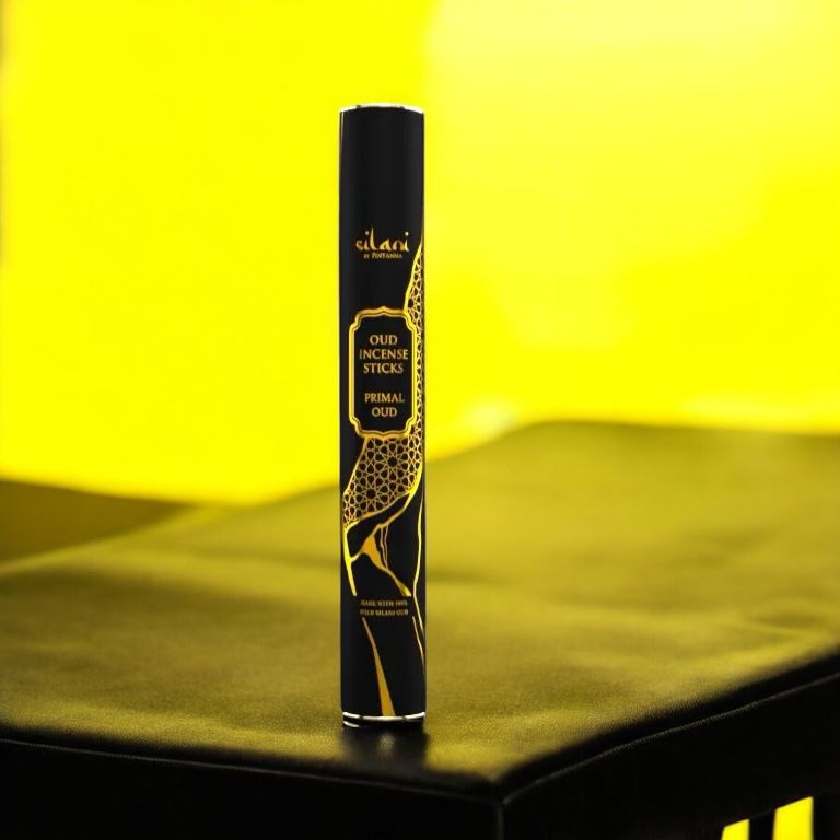 WhatsApp Image 2025-10-08 at 104319 PM